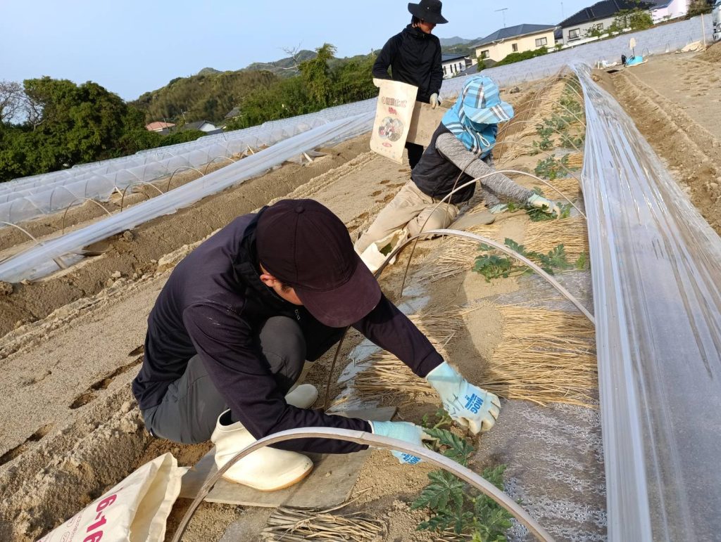 ミタ農園┃スタッフ募集中